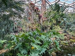 -昆明植物园