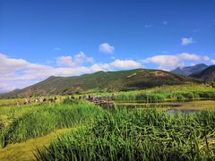 -泸沽湖国家级风景名胜区走婚桥