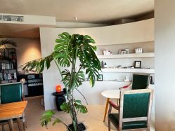 -芳香乐府疗愈空间·SPA·冥想