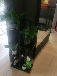 点击看大图 -香秀空间科技抗衰·美容中心
