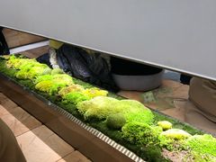 -喜茶(永旺梦乐城店)