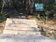 -紫金山山顶公园