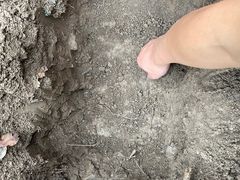 -瑞派天使宠物医院·神经外科·骨科·核磁(洛川中路店)