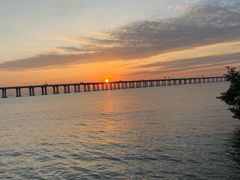 -宝安西湾红树林湿地公园