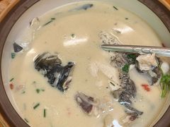 -全乐鱼馆·淳牌有机鱼直营店