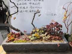 -秀丽东方