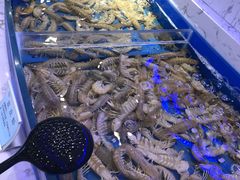 -澜悦港海鲜体验主题餐厅