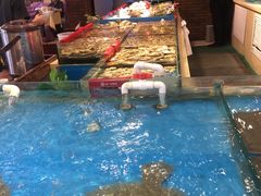 -普天和酒楼·新津菜·烤鸭(天津之眼店)