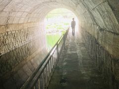 -白水寺森林公园