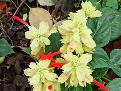 -共青国家森林公园-售票处