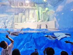 -石家庄极地海洋世界