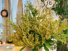 -森野花艺培训·企业团建活动沙龙