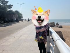 -老虎石海上公园