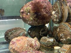 -甄御•海鲜新青岛菜(麦岛店)