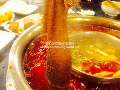 -邓莽子老火锅(鲁祖庙店)