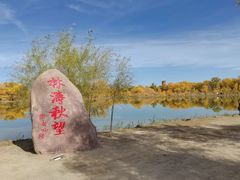 -金塔沙漠胡杨林景区