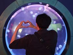 -左海海底世界