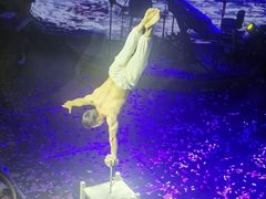 -斯卡拉演艺集团