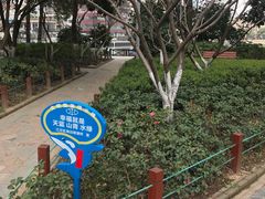 -喷泉公园