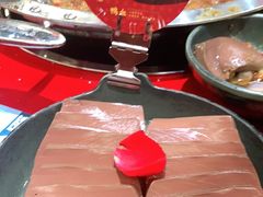 -谭鸭血老火锅(七宝万科广场店)