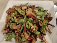 -蘑统田下·野生菌火锅