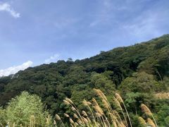 -龙岩森林水乡景区
