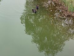 -河北省园博园