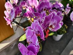 -黑龙江中医药大学