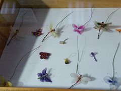 -上海大自然野生昆虫馆(东方明珠·爬宠昆虫探索中心)