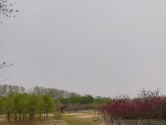 -东郊湿地公园