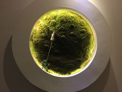 -萤初高端日料王(曲江银泰店)