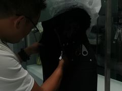 -福奈特洗衣洗鞋(海阳路店)