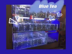 -石锅苗苗鱼(武汉首店)