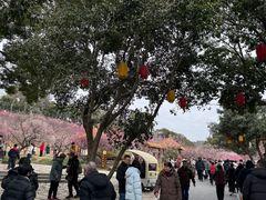 -无锡梅园公园