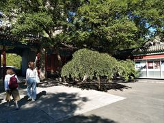 -中央音乐学院歌剧音乐厅