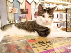 -小时光咖啡馆(开森度假森林店)