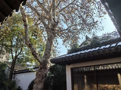 -鲤院·新中式美学·庭院餐厅(夫子庙店)