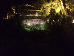 iphone_upload_pic-普陀山雷迪森庄园