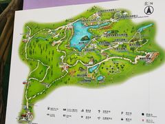 -深圳仙湖植物园