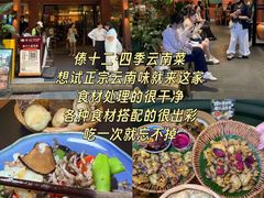 -西双版纳原始森林公园