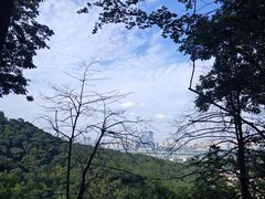 -岳麓山风景名胜区