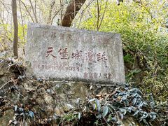 -紫金山天文台