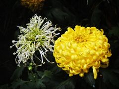 -汇龙潭