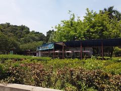 -李小龙乐园(顺德均安店)