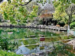 -白马涧龙池景区