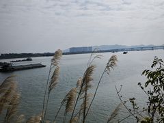 -羚羊峡古栈道森林公园