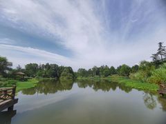 -桤木河湿地公园