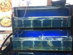 水产区-李东农庄(中南百草园地标店)