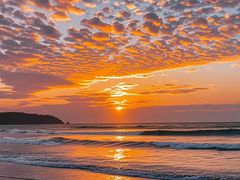 -蜀大侠火锅(春熙路店)