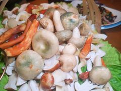 -老滇山寨•云南特色菜•地方菜•民族风情歌舞表演(金碧店)